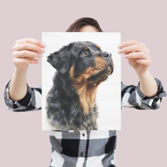 Rottweiler Watercolor Pet Portrait - Dog Wall Art Poster Unframed - Picture 4 of 5